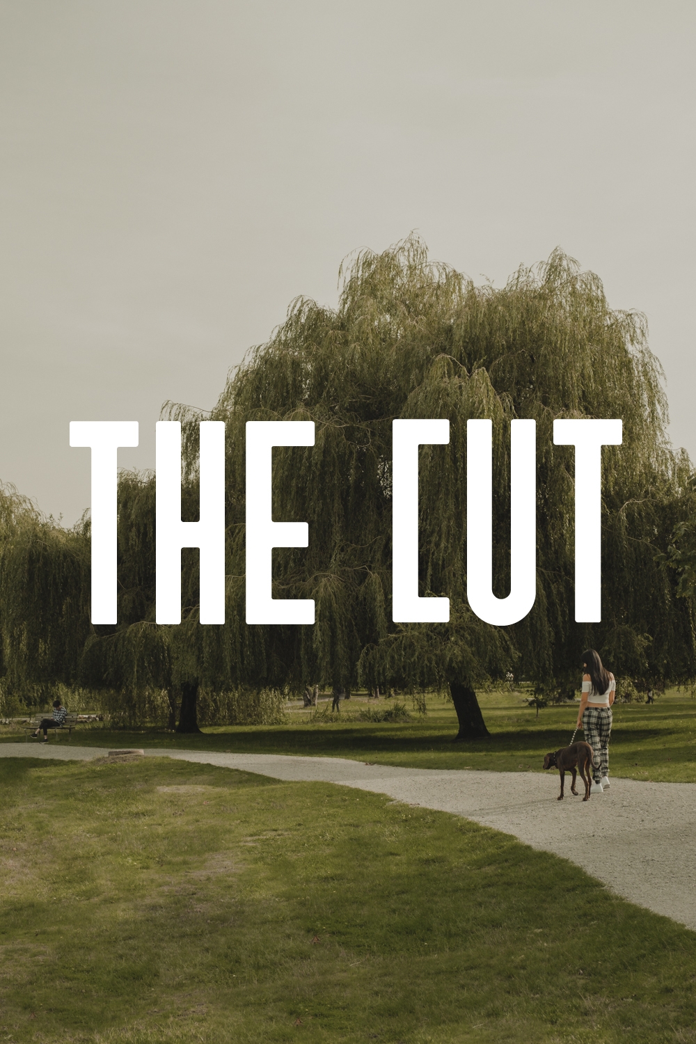 The Cut Willow